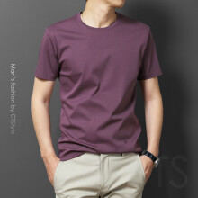 FEIYU LEE 长袖 男士T恤 紫色短袖 