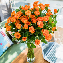 橙色芭比多头玫瑰泡泡玫瑰花小玫瑰云南昆明基地直发 旧故里 橙色芭比