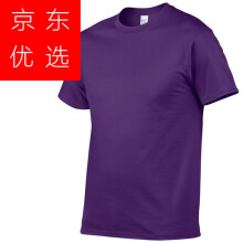 瓴达 短袖 男士T恤 紫色 