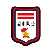 副中队长价格报价行情 京东 副中队长价格报价行情 京东