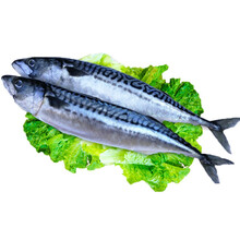 5kg暂无报价128 条评论广信【9罐装】大酱鲭鱼罐头味增鲭鱼青花鱼海鲜