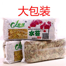 水苔养兰花品牌及商品 京东 水苔养兰花品牌及商品 京东