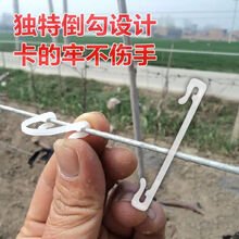 枝幸价格报价行情 京东