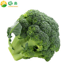 西兰花花椰菜价格报价行情 京东