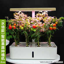 智能种植机价格报价行情 京东