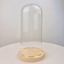 4月26日生日花新款 4月26日生日花21年新款 京东