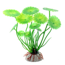 水草花价格报价行情 京东