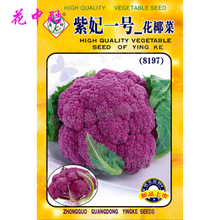 慧挑食西兰花图片 京东