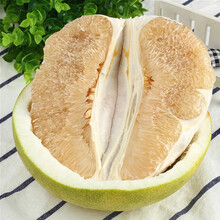 黄金柚价格报价行情 京东