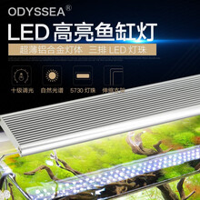 大功率led水草灯价格报价行情 京东