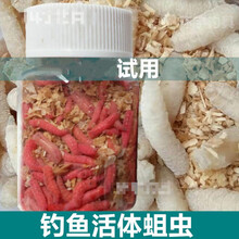 蛆虫活体品牌及商品 京东 蛆虫活体品牌及商品 京东