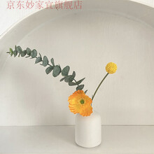 宜家小花瓶价格报价行情 京东