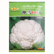 白菜花品牌及商品 京东