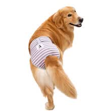 大型犬生理裤排行 京东