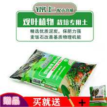 观叶植物栽培土价格报价行情 京东 观叶植物栽培土价格报价行情 京东
