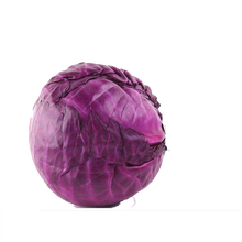 紫甘蓝种子价格报价行情 京东