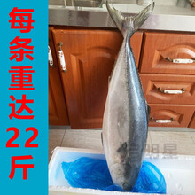 鰤鱼刺身价格报价行情 京东