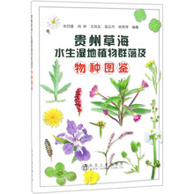 科学水生植物图片 京东