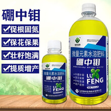 Obafokn4rkwz4m Obafokn4rkwz4m