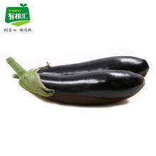 茄子炒豆角型号规格 京东 茄子炒豆角型号规格 京东