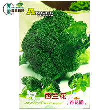 紫甘蓝紫菜价格报价行情 京东