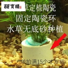 鱼缸水草固定图片 京东