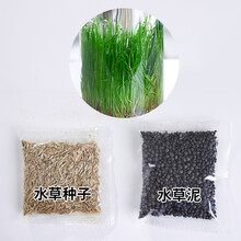 Diy水培花瓶价格报价行情 京东