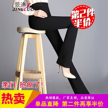 春秋女西装裤