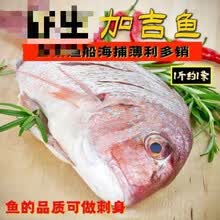 真鲷刺身新款 真鲷刺身21年新款 京东