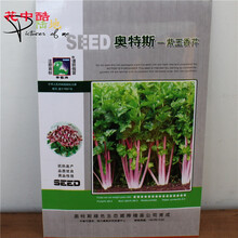 紫玉葱品牌及商品 京东