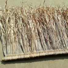 茅草屋真茅草天然茅草黄手工编织加厚毛草公园农家乐景区装饰 竹编1米
