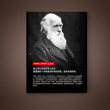 达尔文装饰画品牌及商品 京东