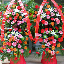 开业花篮贺词价格报价行情 京东