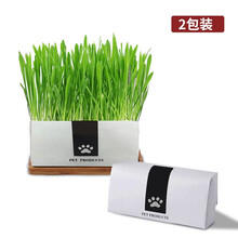 天然猫草种子价格报价行情 京东