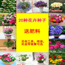 春夏秋冬花型号规格 京东