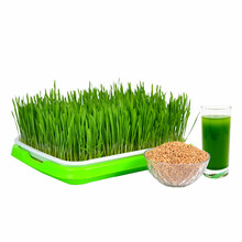 室内种植芽苗菜价格报价行情 京东