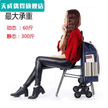带椅子购物车价格报价行情 京东