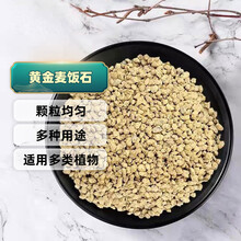 多肉植物介质土价格报价行情 京东