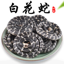 白花蛇价格报价行情 京东