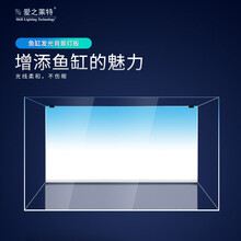 水族馆草缸造景新款 水族馆草缸造景21年新款 京东 水族馆草缸造景新款 水族馆草缸造景21年新款 京东