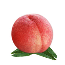 【帆儿庄园】当季新鲜桃子水蜜桃春雪毛桃孕妇水果生鲜脆桃 1斤