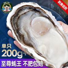深海生蚝价格报价行情 京东