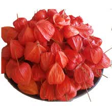 (今年新果)东北新鲜红姑娘 红菇娘 红皮灯笼果 苦姑娘 500g=1斤
