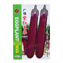 蔬菜种茄子图片 京东 蔬菜种茄子图片 京东