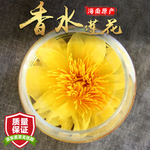 九品香莲价格报价行情 京东