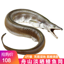 鳗鱼筒价格报价行情 京东