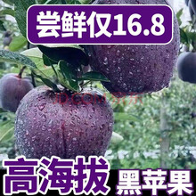 紫色进口水果价格报价行情 京东