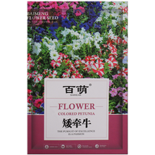 花坛草花价格报价行情 京东