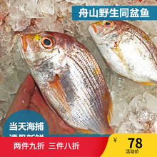 深海鲷鱼价格报价行情 京东 深海鲷鱼价格报价行情 京东
