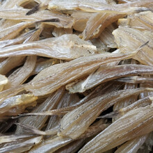 渔民自晒沙甲鱼干货沙丁鱼干北海特产海鲜水产鱼干干货禧客鲜 500g